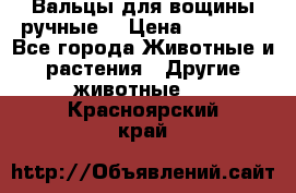 Вальцы для вощины ручные  › Цена ­ 10 000 - Все города Животные и растения » Другие животные   . Красноярский край